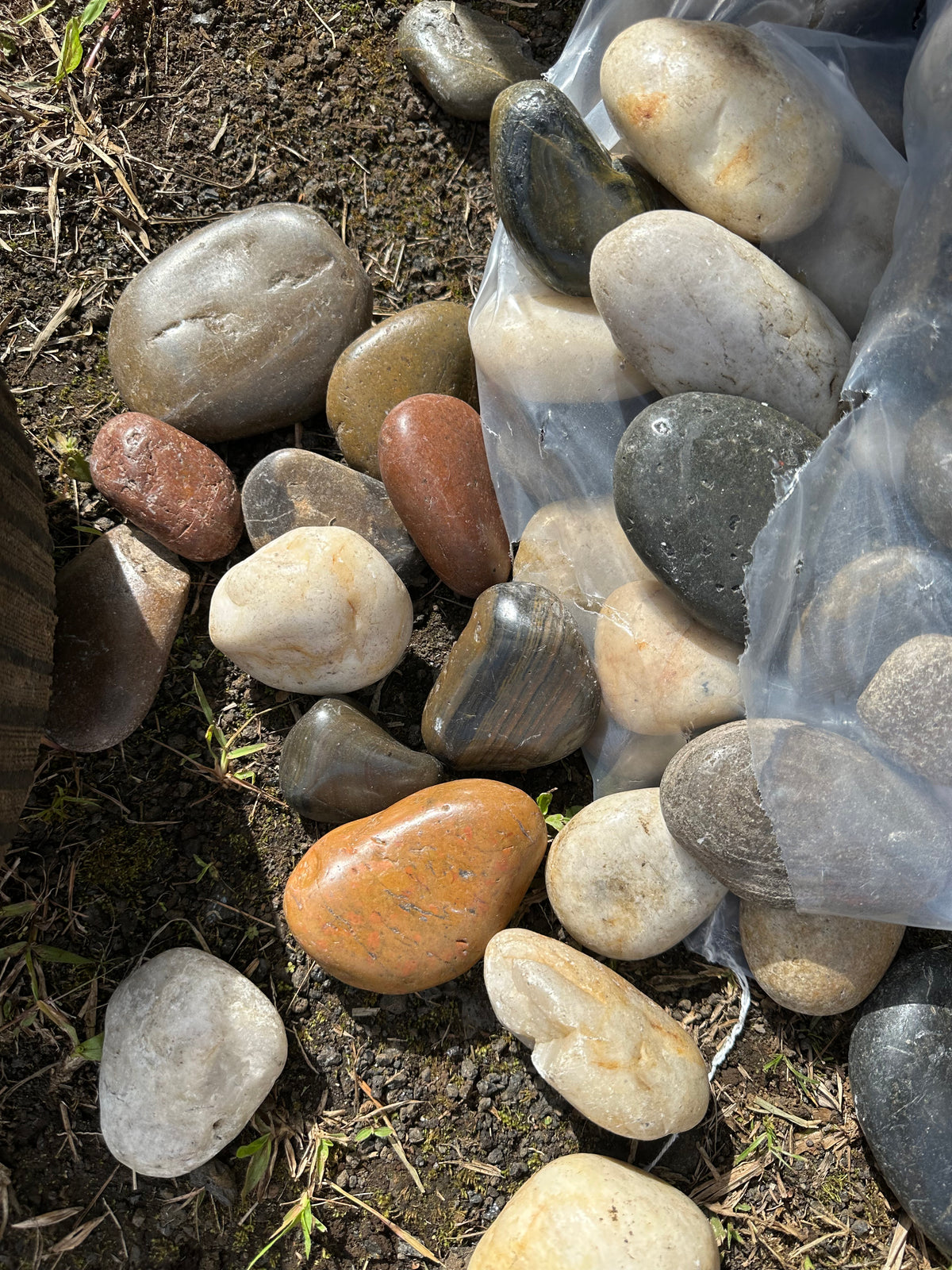 Landscape Rock - Mixed Color