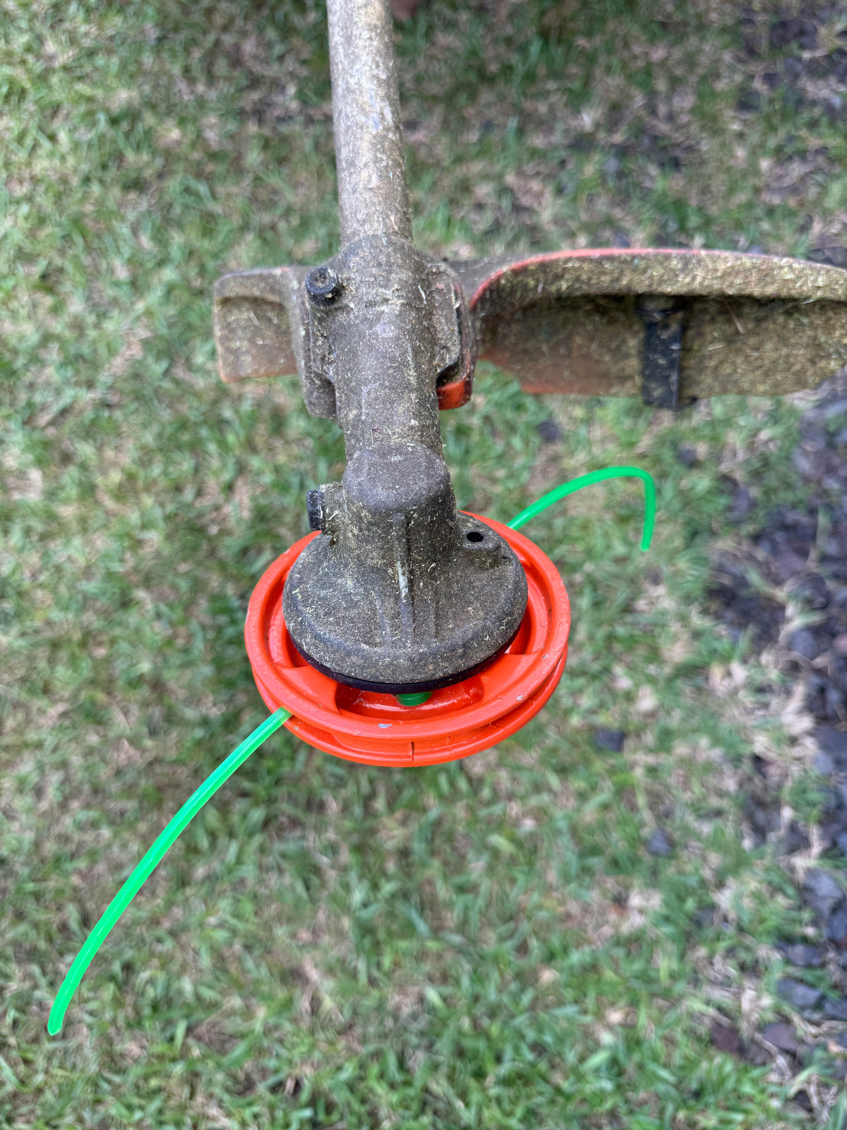 Trimmer Head, Orange, .130"